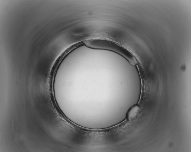 X0000100201068200805300742