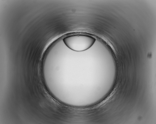 X0000100201069200805300742