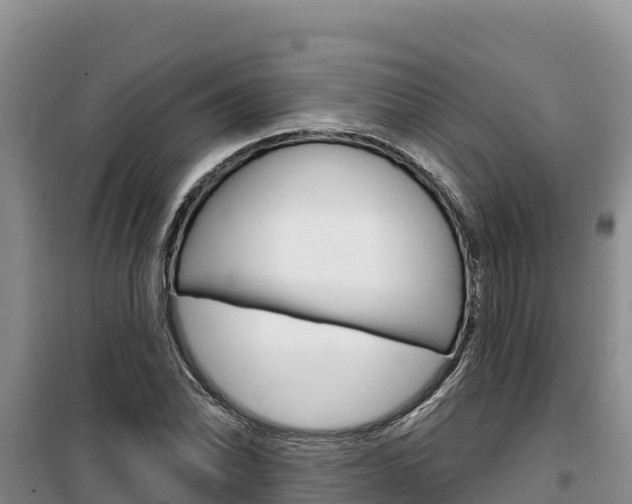 X0000100201070200805300742