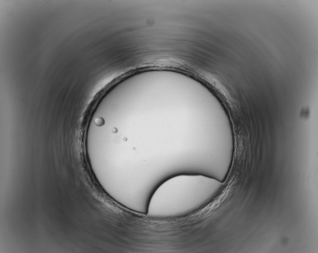 X0000100201071200805300742