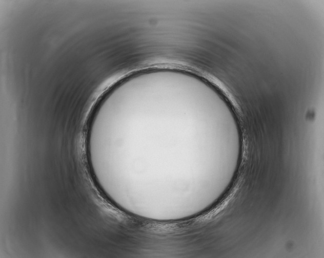 X0000100201074200805300742