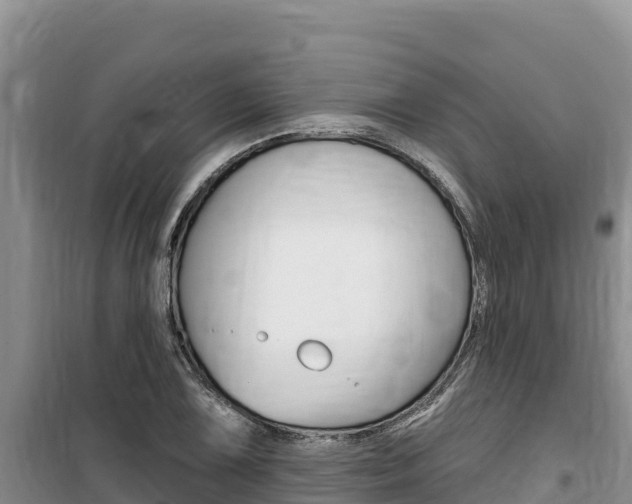 X0000100201075200805300742