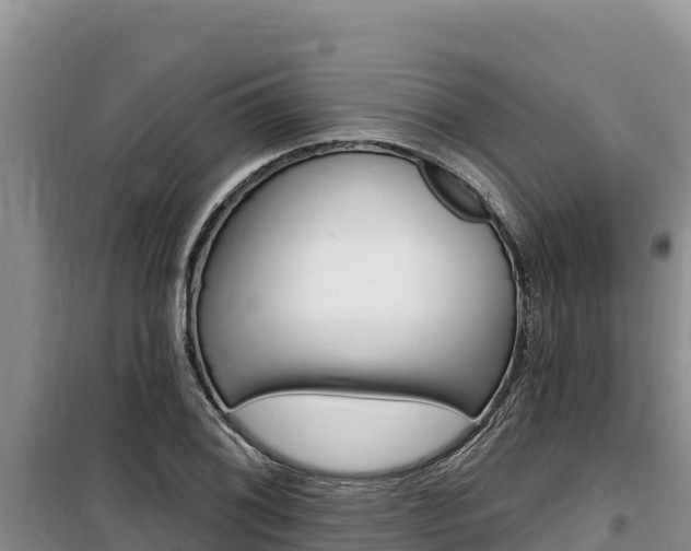 X0000100201076200805300742