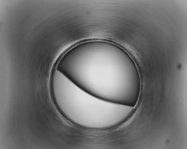 X0000100201077200805300741