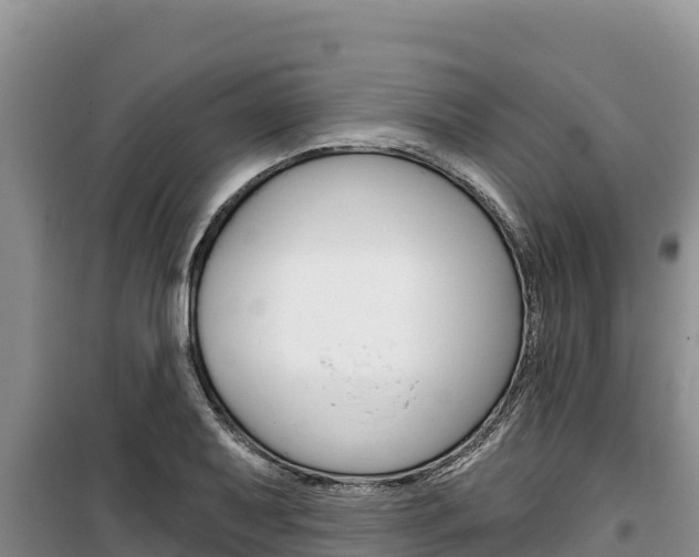 X0000100201079200805300741