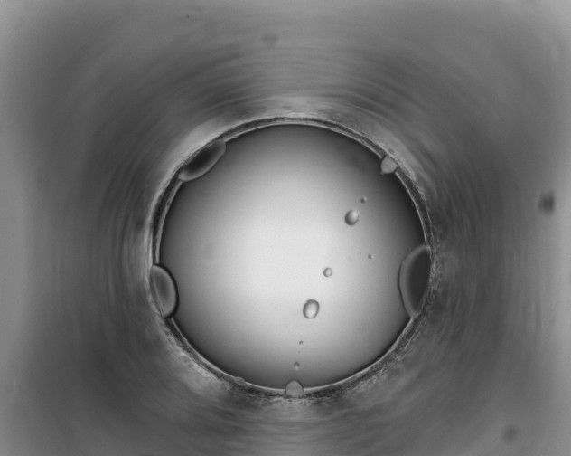 X0000100201080200805300741
