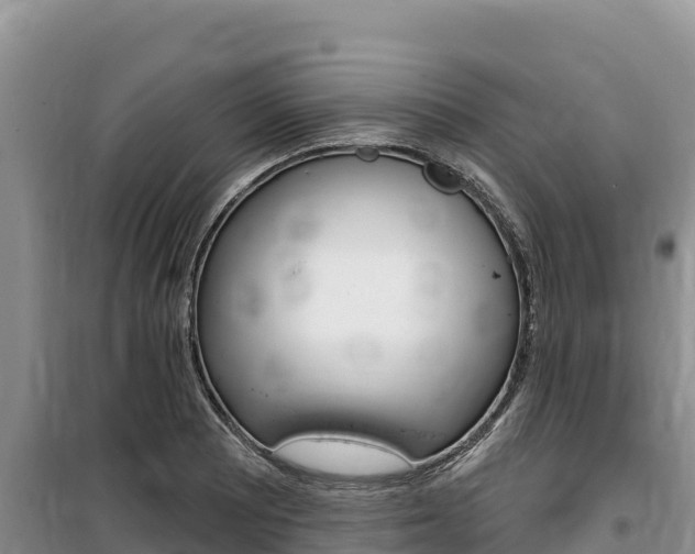 X0000100201081200805300741