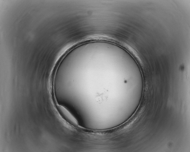 X0000100201082200805300741
