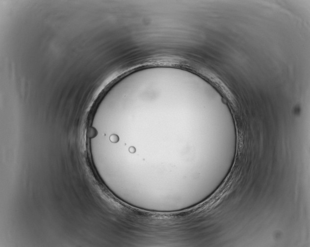 X0000100201083200805300741