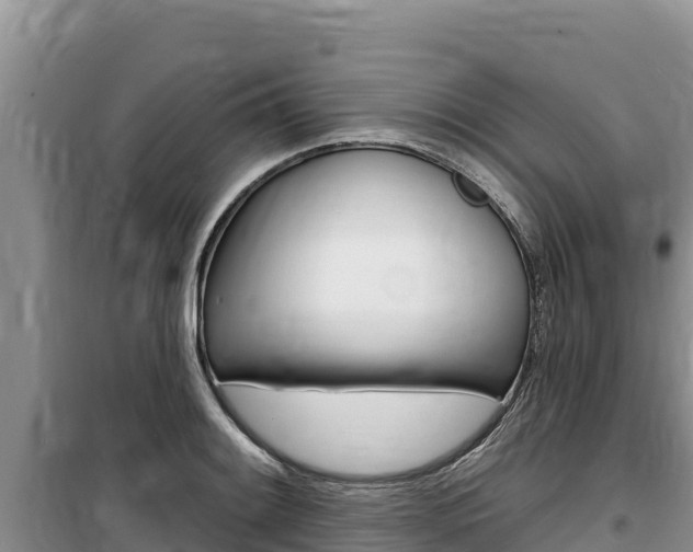X0000100201084200805300741