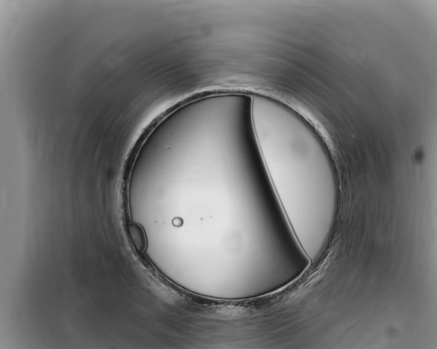X0000100201085200805300741