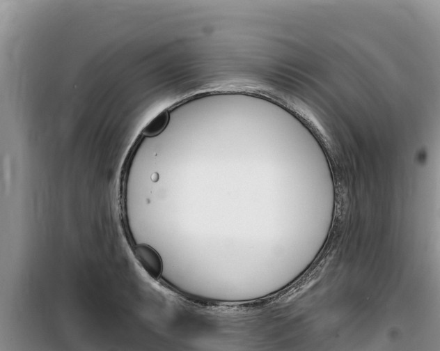 X0000100201087200805300741
