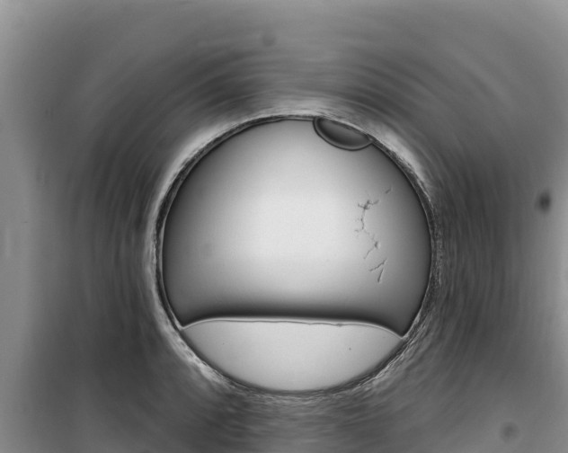 X0000100201088200805300741