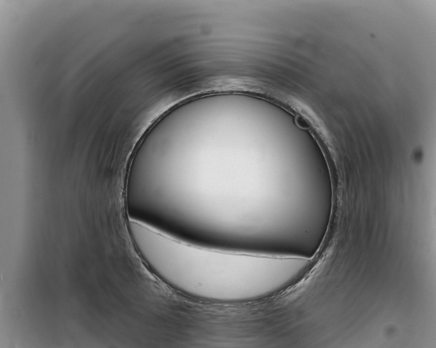 X0000100201089200805300741