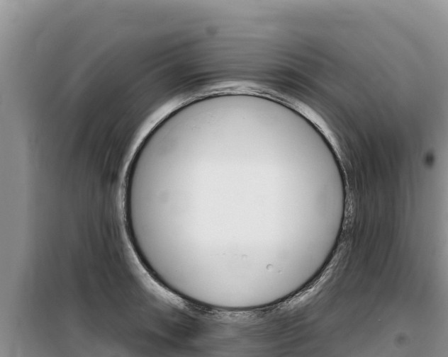 X0000100201090200805300741