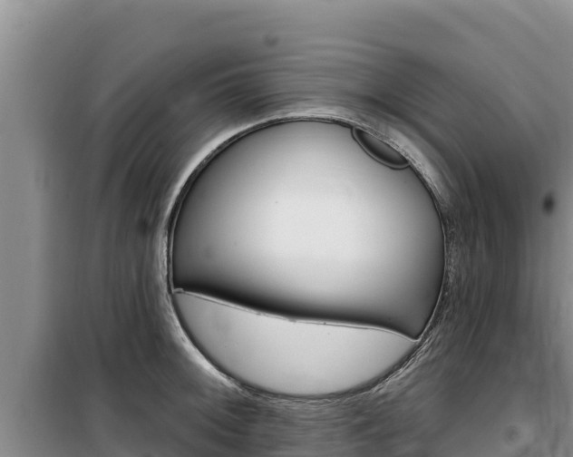 X0000100201092200805300741