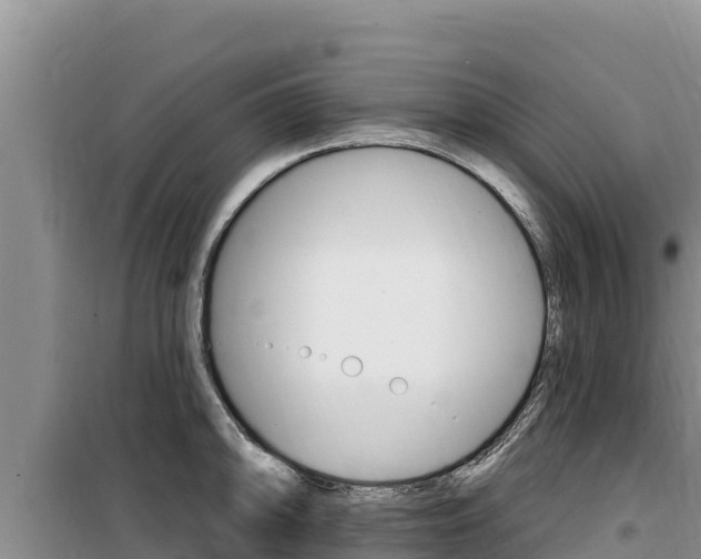 X0000100201094200805300741