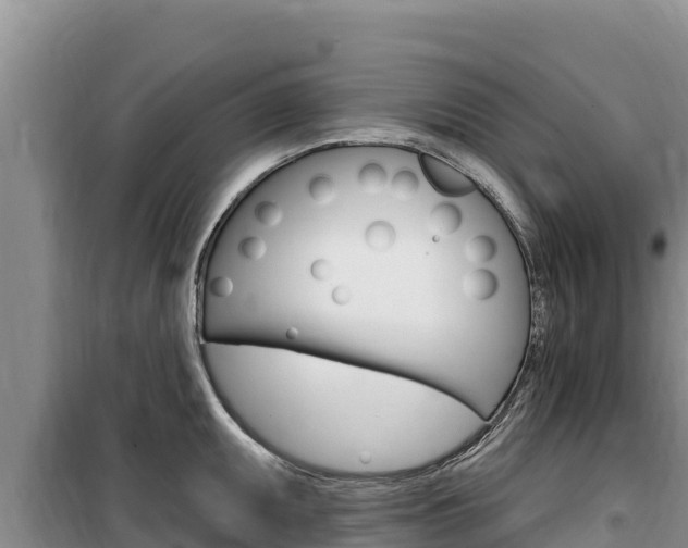 X0000100201095200805300741