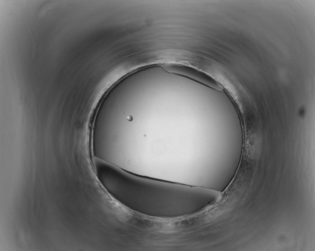 X0000100201096200805300741