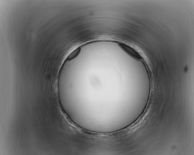 X0000100201097200805300741