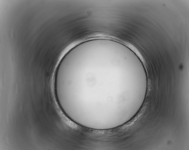 X0000100201098200805300741