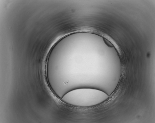 X0000100201099200805300741