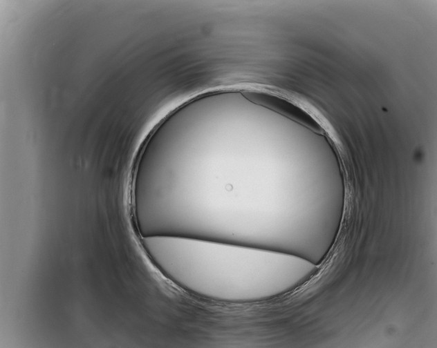 X0000100201101200805300741