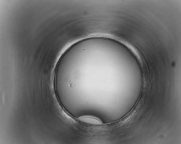 X0000100201102200805300741