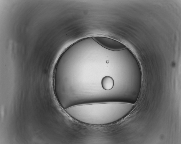X0000100201104200805300741