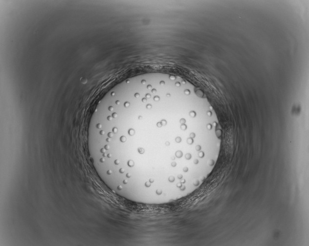 X0000100201105200805300741