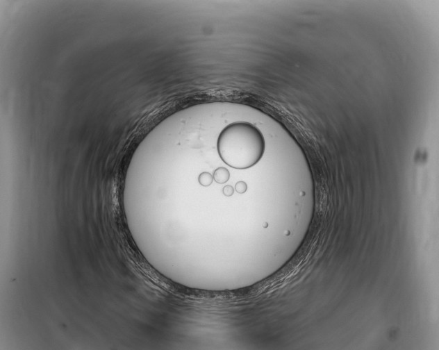 X0000100201106200805300741