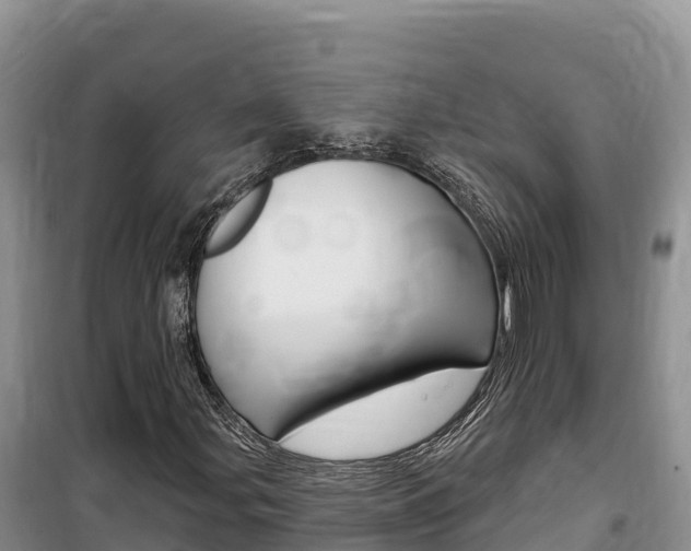 X0000100201107200805300741
