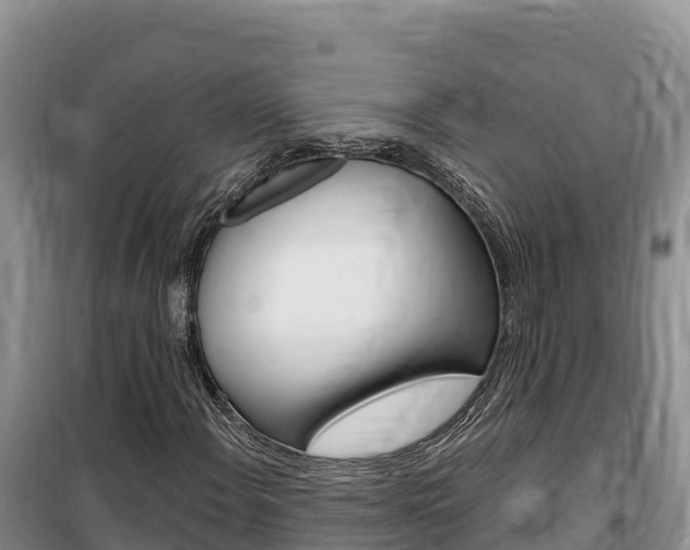 X0000100201108200805300741