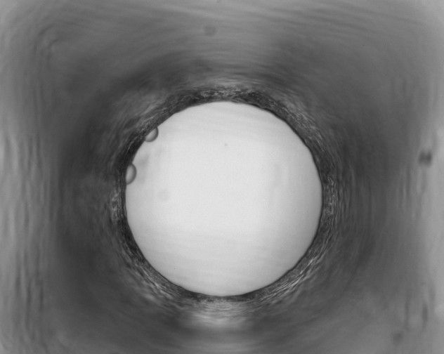 X0000100201109200805300741