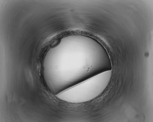 X0000100201111200805300741