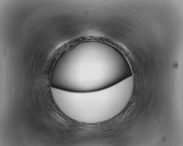 X0000100201112200805300741