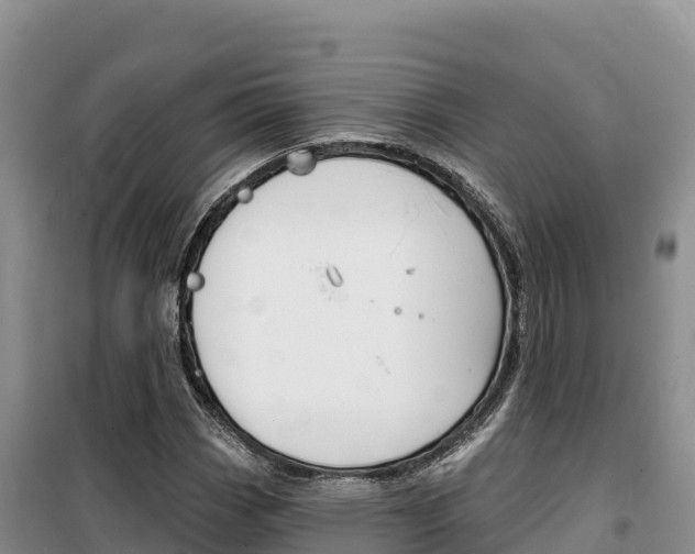 X0000100201113200805300741