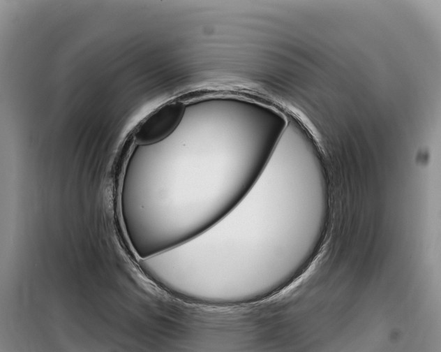 X0000100201114200805300741