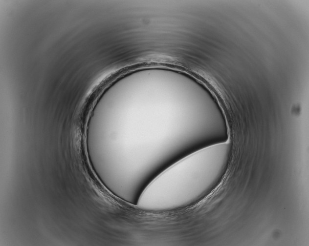 X0000100201115200805300741