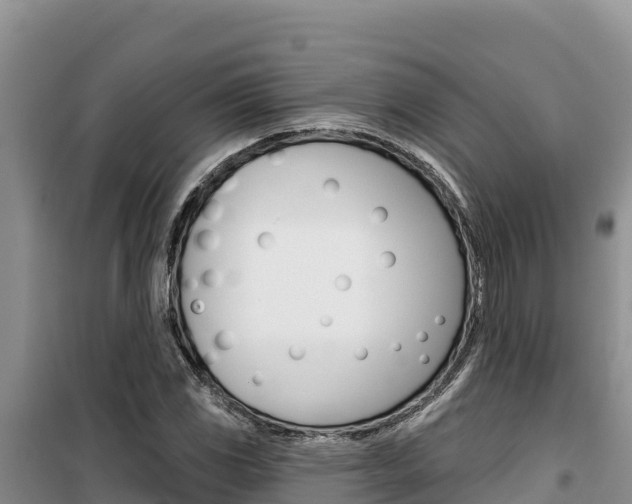 X0000100201117200805300741