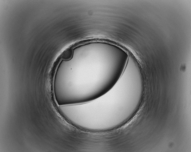 X0000100201118200805300741