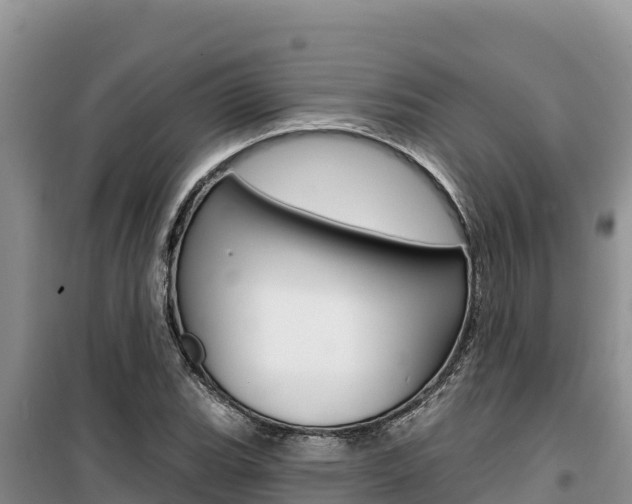 X0000100201119200805300741