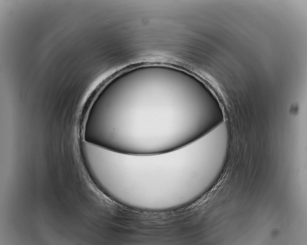 X0000100201120200805300741
