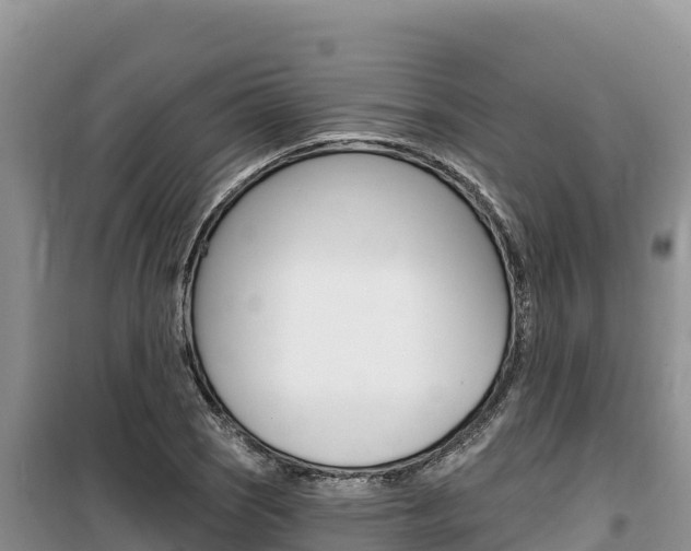 X0000100201121200805300741