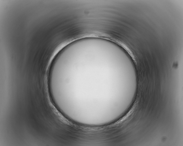 X0000100201122200805300741
