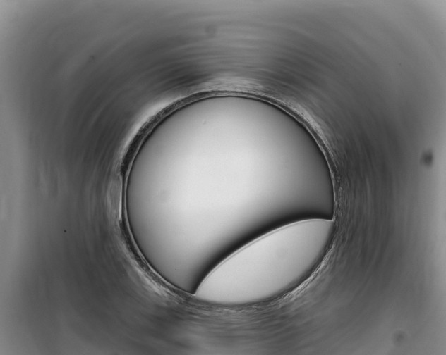X0000100201123200805300741