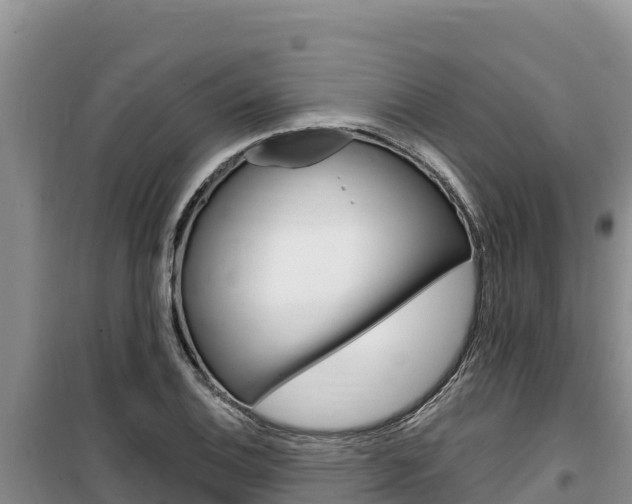 X0000100201124200805300741