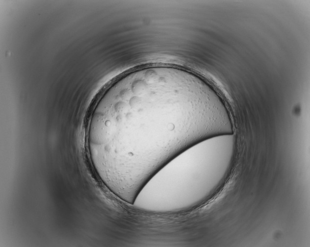X0000100201125200805300741