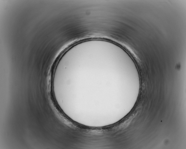 X0000100201126200805300741