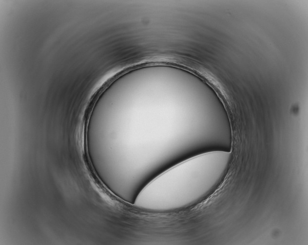 X0000100201127200805300741